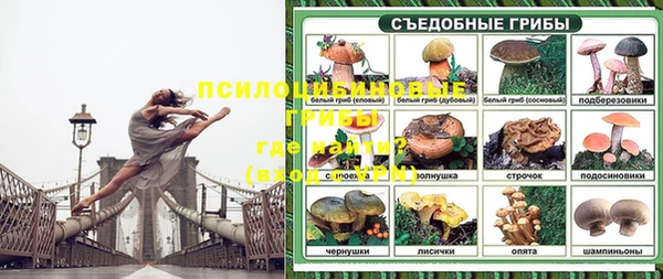 ALPHA PVP Лиски